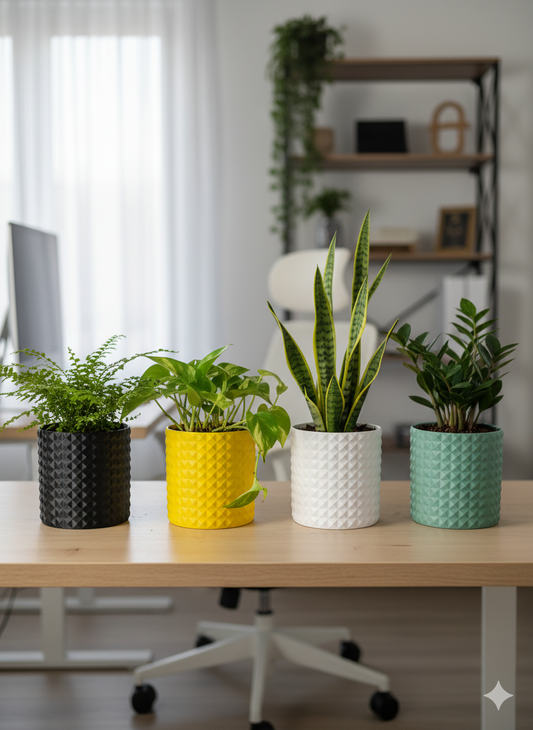 Eco-Friendly Planters with a Modern Edge